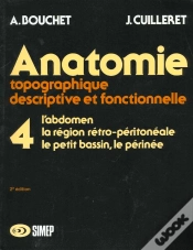 Capa do artigo Anatomie T.4