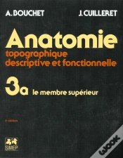Capa do artigo Anatomie Topo T.3 ; A Le Membre Superieur