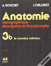 Anatomie Topo T.3 ; B Le Membre Inferieur