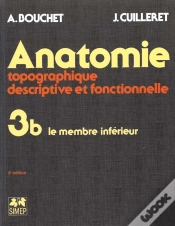 Capa do artigo Anatomie Topo T.3 ; B Le Membre Inferieur