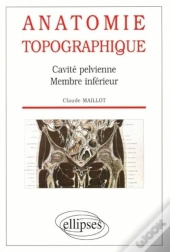 Anatomie Topographique - Cavite Pelvienne - Membre Inferieur