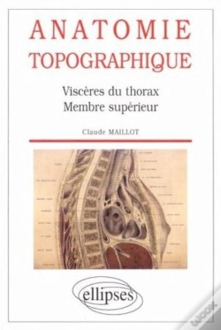 Capa do artigo Anatomie Topographique - Viscères Du Thorax - Membre Supérieur