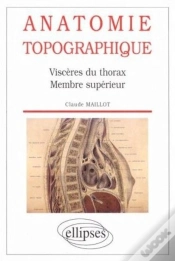 Capa do artigo Anatomie Topographique - Viscères Du Thorax - Membre Supérieur