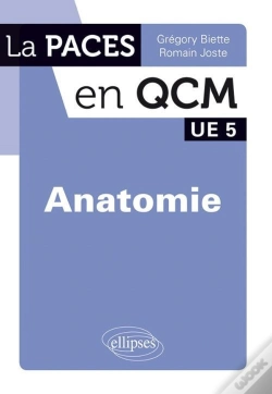 Capa do artigo Anatomie ; Ue 5 ; Qcm