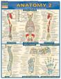 Anatomy 2 - Reference Guide - Preview