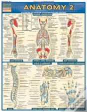 Capa do artigo Anatomy 2 - Reference Guide