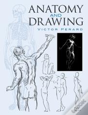 Anatomy And Drawing