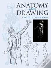 Capa do artigo Anatomy And Drawing