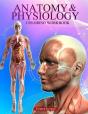Anatomy And Physiology Coloring Workbook - Preview