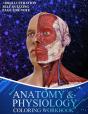 Anatomy And Physiology Coloring Workbook - Preview