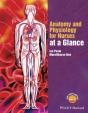 Anatomy And Physiology For Nurses At A Glance - Preview