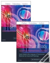Anatomy And Physiology