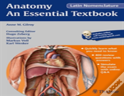 Anatomy