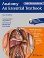 Anatomy - Preview