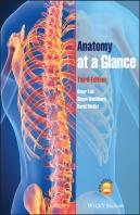 Anatomy At A Glance