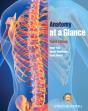 Anatomy At A Glance - Preview