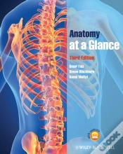 Capa do artigo Anatomy At A Glance