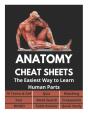 Anatomy Cheat Sheets - 70 Terms & Def, Quiz, Matching, Test, Word Search, Crosswords, Bingo, Table Review, Quick Study - Preview
