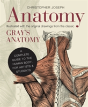 Anatomy - Preview