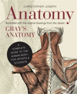 Capa do artigo Anatomy