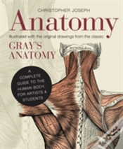 Capa do artigo Anatomy