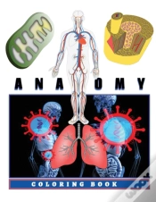 Capa do artigo Anatomy Coloring Book