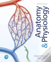 Capa do artigo Anatomy & Physiology
