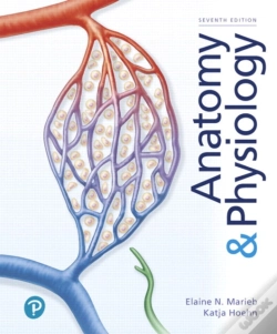 Capa do artigo Anatomy & Physiology