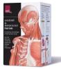 Anatomy & Physiology Flash Cards - Preview
