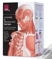Capa do artigo Anatomy & Physiology Flash Cards