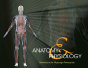 Anatomy & Physiology Reference For Massage Therapists - Preview