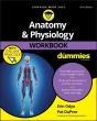 Anatomy & Physiology Workbook For Dummies With Online Practice - Preview