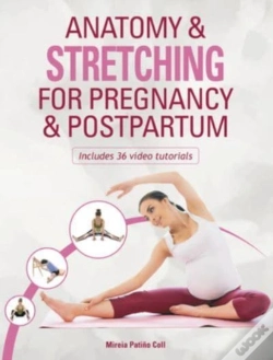 Capa do artigo Anatomy & Stretching For Pregnancy & Postpartum