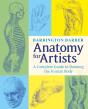 Anatomy For Artists - Preview