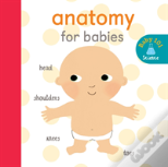 Anatomy For Babies