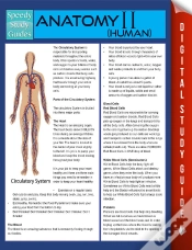 Capa do artigo Anatomy Ii (Human) (Speedy Study Guides)