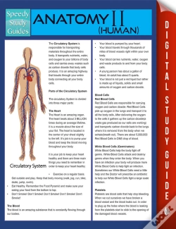 Capa do artigo Anatomy Ii (Human) (Speedy Study Guides)