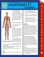 Anatomy Ii (Human) (Speedy Study Guides) - Preview