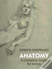 Anatomy