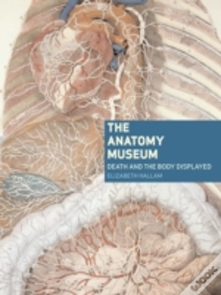 Capa do artigo Anatomy Museum