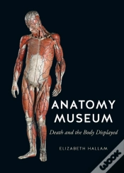 Capa do artigo Anatomy Museum