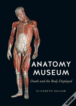Capa do artigo Anatomy Museum