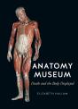 Anatomy Museum - Preview