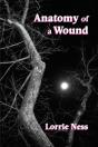 Anatomy Of A Wound - Preview