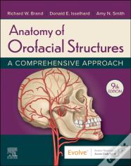 Anatomy Of Orofacial Structures