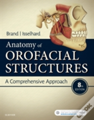 Anatomy Of Orofacial Structures