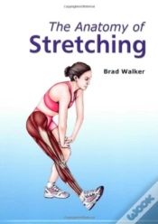 Capa do artigo Anatomy Of Stretching