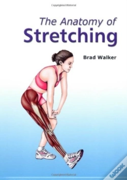 Capa do artigo Anatomy Of Stretching