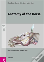 Capa do artigo Anatomy Of The Horse