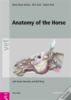 Capa do artigo Anatomy Of The Horse